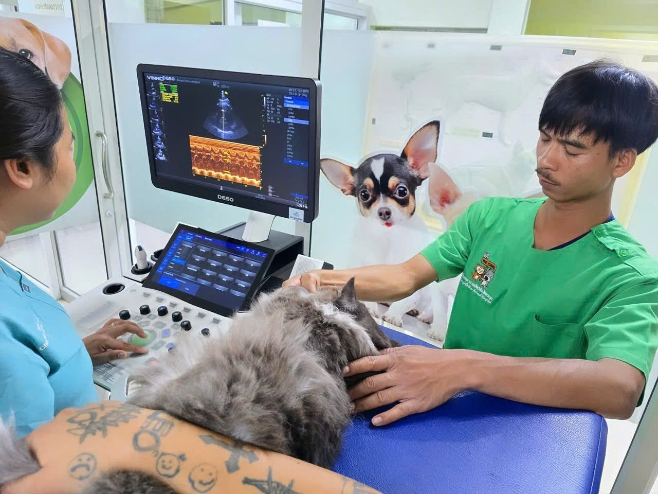 MÁY SIÊU ÂM THÚ Y